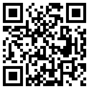 扫码下载极限超车模拟器手机版