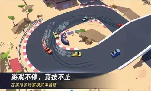 赛道和精英赛车手